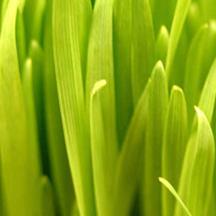 免费ddos攻击网页端