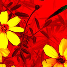 安全的自助渠道推荐的ip攻击器网页版ddos